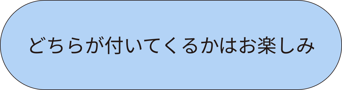 どちらが付いてくるかはお楽しみ