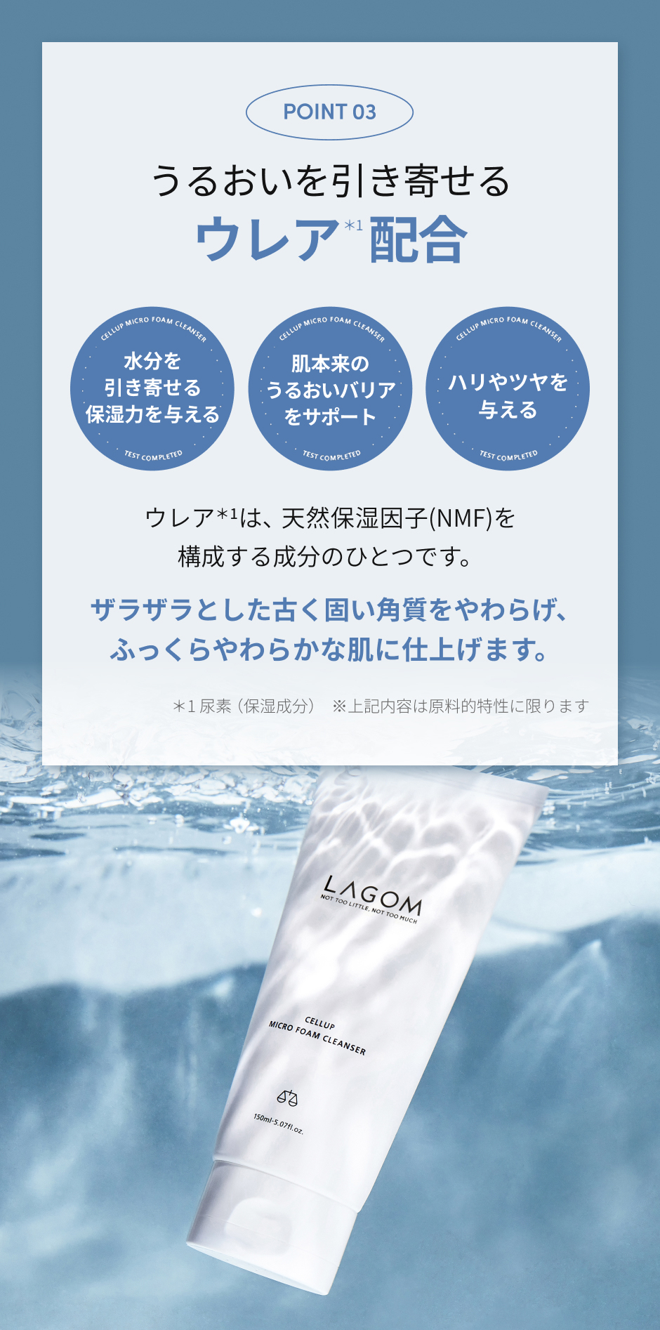 ラゴム マイクロフォーム クレンザー(夜用洗顔) | LAGOM〈ラゴム〉公式